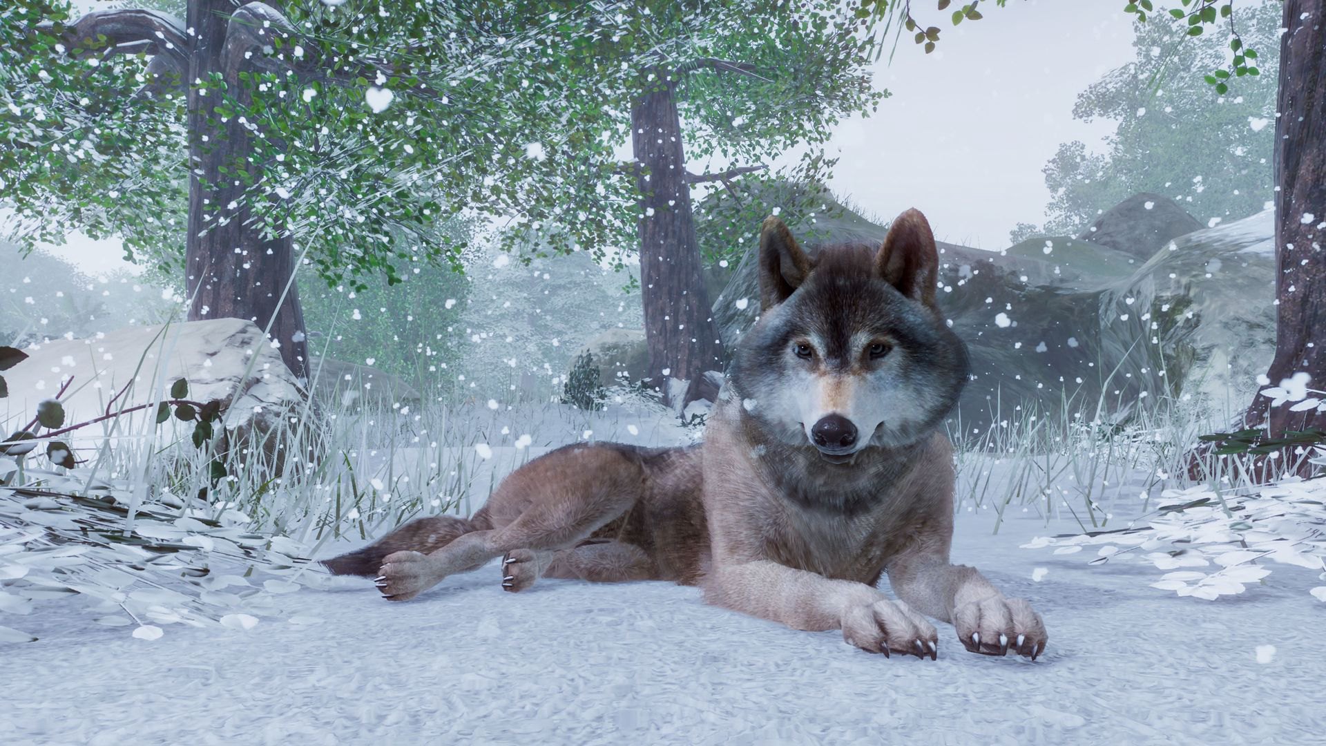 Planet Zoo - 5 DLCs Pack Steam CD Key screenshot 2
