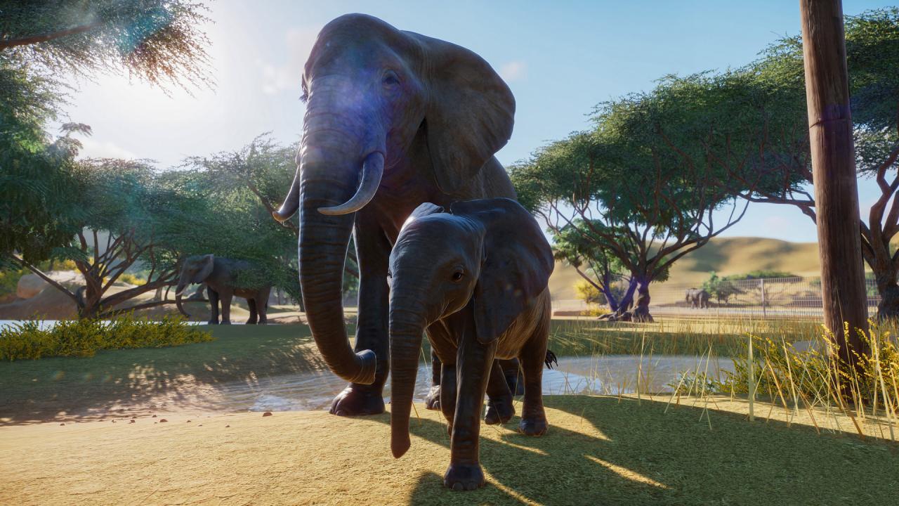 Planet Zoo - 5 DLCs Pack Steam CD Key screenshot 5