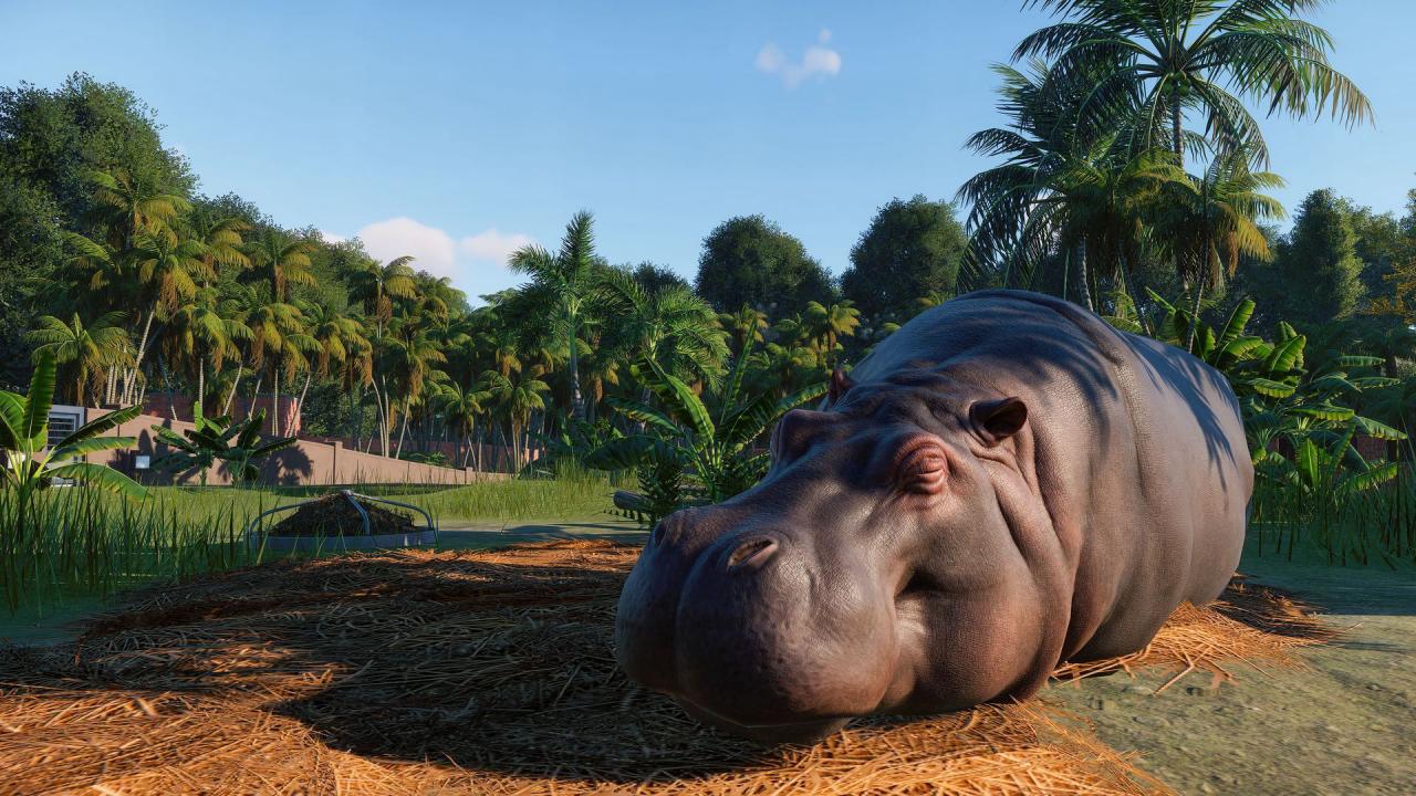 Planet Zoo - 5 DLCs Pack Steam CD Key screenshot 7