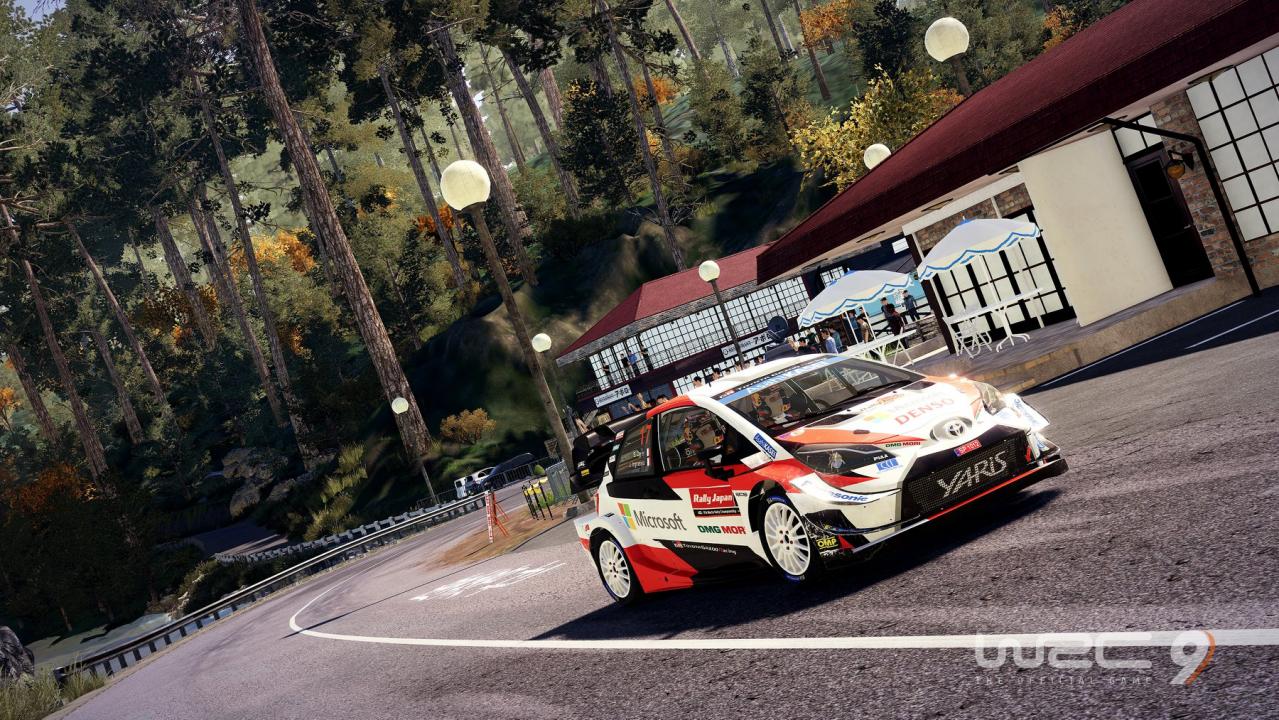 WRC 9 FIA World Rally Championship PC Epic Games CD Key screenshot 1