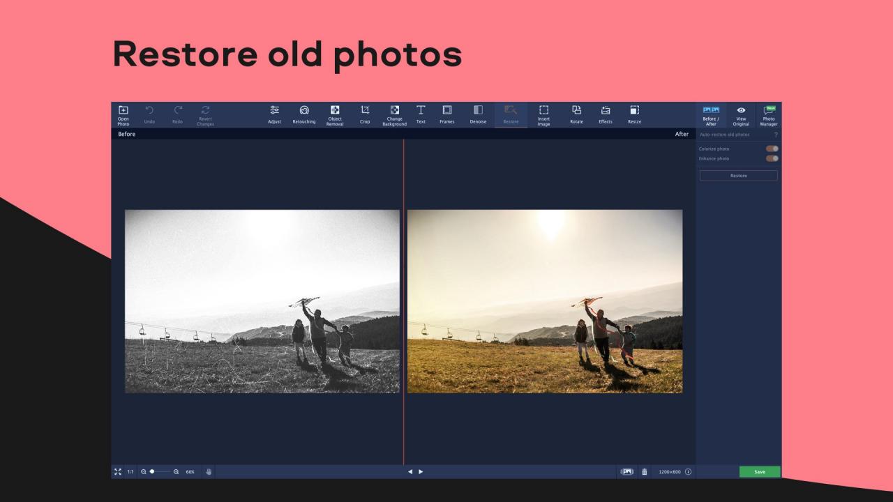Movavi Photo Editor PC Steam CD Key screenshot 3