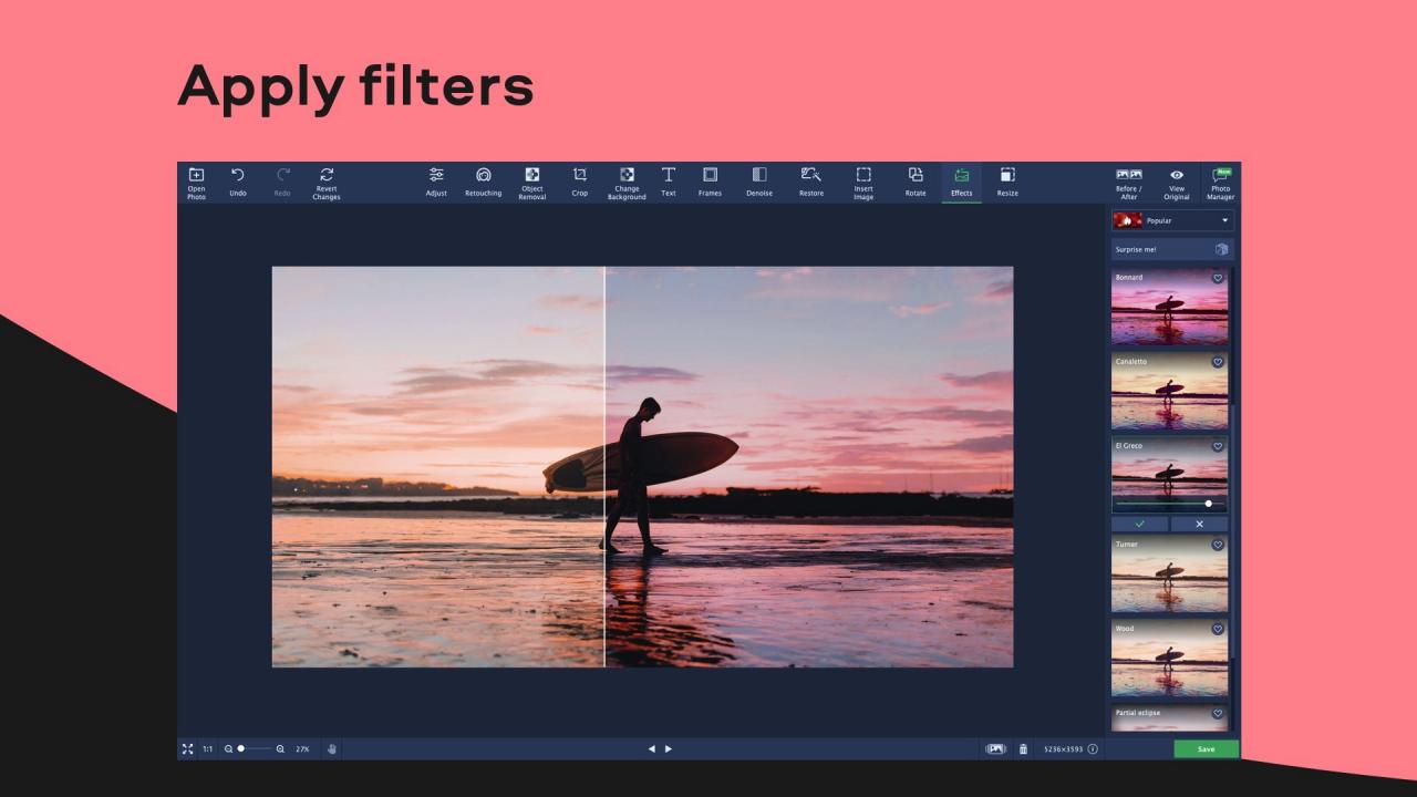 Movavi Photo Editor PC Steam CD Key screenshot 4