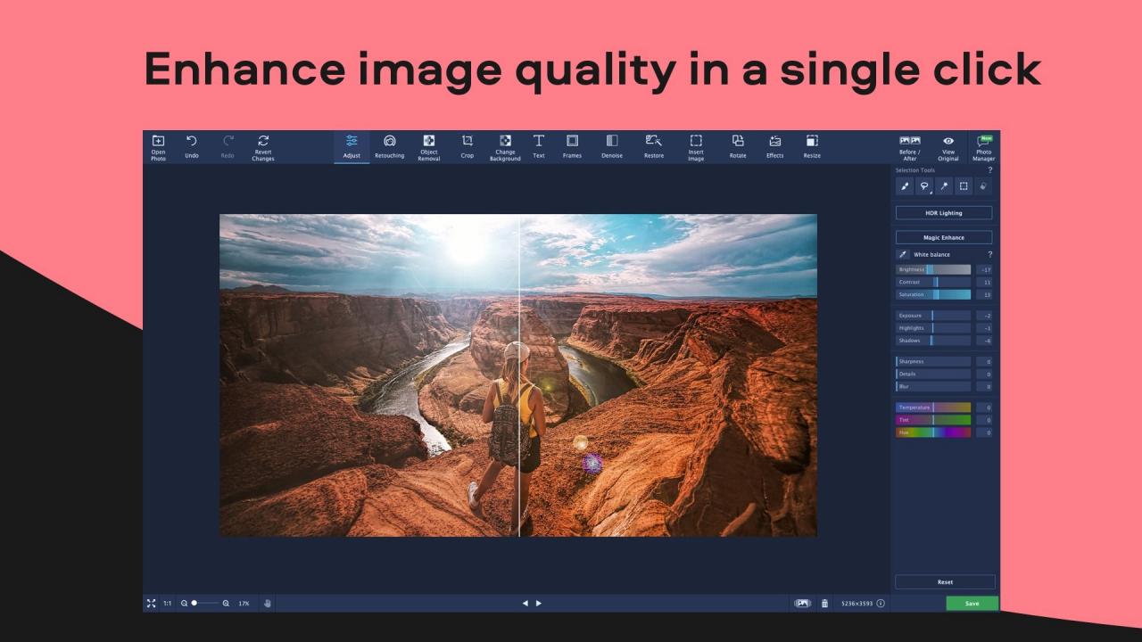 Movavi Photo Editor PC Steam CD Key screenshot 5