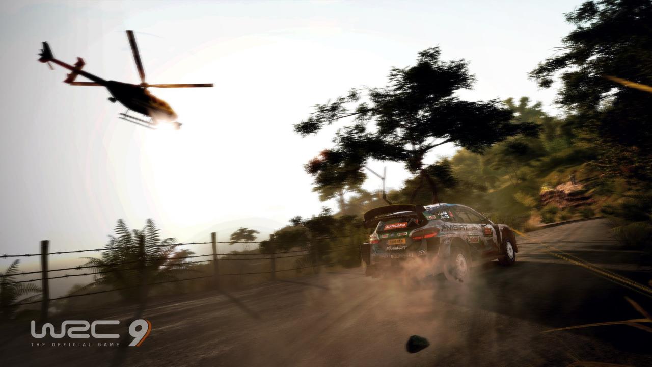 WRC 9 FIA World Rally Championship PC Epic Games CD Key screenshot 2