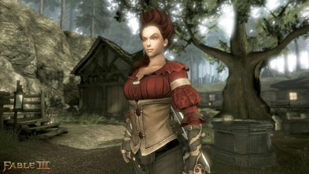 Fable III Complete Edition GFWL Download Key screenshot 1