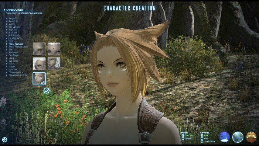 Final Fantasy XIV: A Realm Reborn Collector's Edition EU Digital Download CD Key screenshot 6