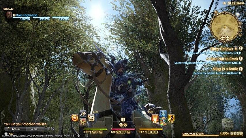 Final Fantasy XIV: A Realm Reborn Collector's Edition EU Digital Download CD Key screenshot 1