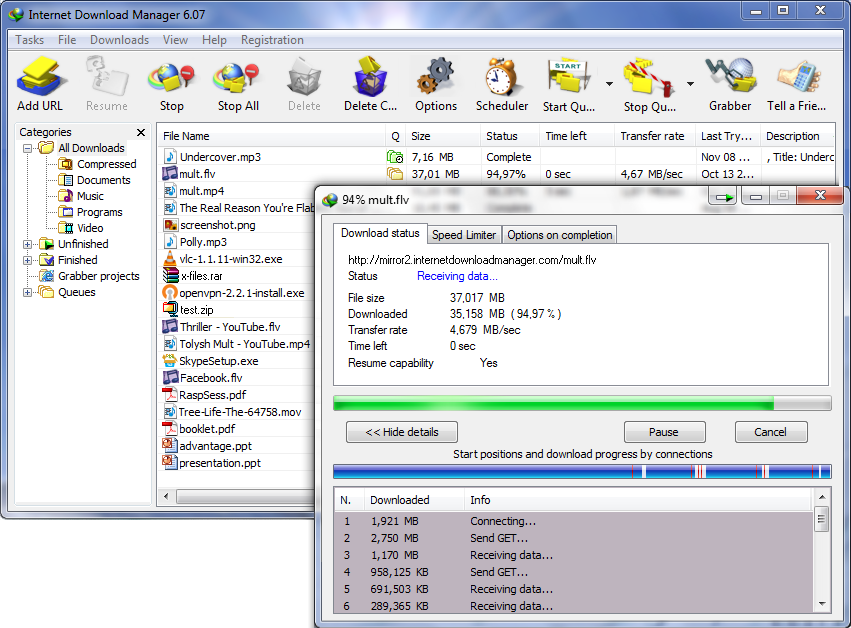 Internet Download Manager Key screenshot 1