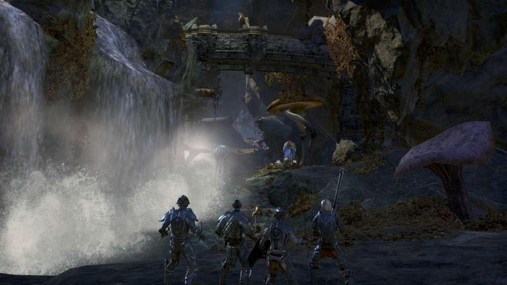 The Elder Scrolls Online: Tamriel Unlimited + Morrowind Upgrade DLC Digital Download CD Key screenshot 6