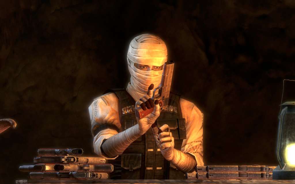 Fallout: New Vegas PC Steam CD Key screenshot 3