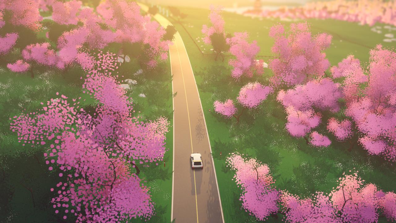Art of Rally LATAM Steam CD Key screenshot 4