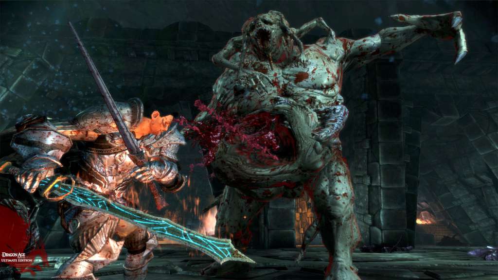 Dragon Age: Origins - Ultimate Edition GOG CD Key screenshot 2