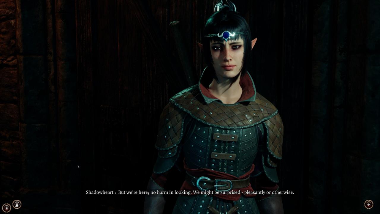 Baldur's Gate 3 Steam Altergift screenshot 6