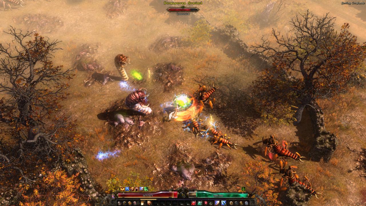 Grim Dawn Definitive Edition GOG CD Key screenshot 2