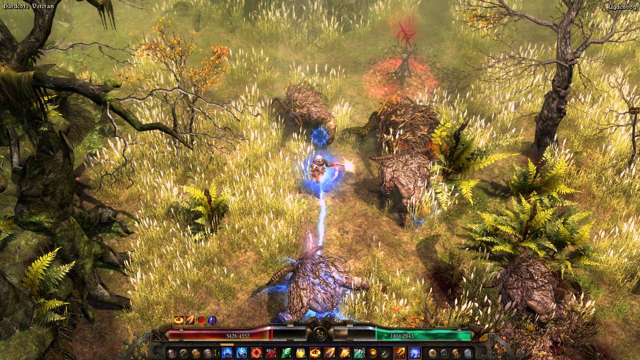 Grim Dawn Definitive Edition GOG CD Key screenshot 5