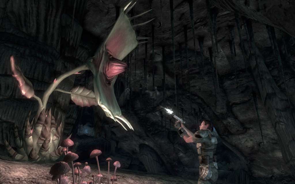 Fallout: New Vegas Ultimate Edition EU PC Steam CD Key screenshot 1