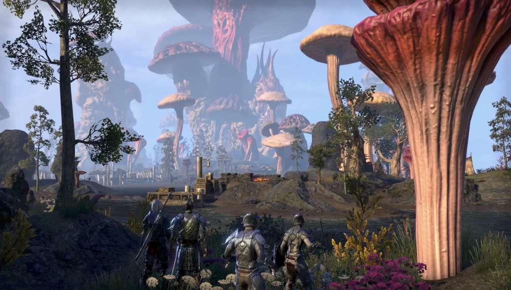 The Elder Scrolls Online: Tamriel Unlimited + Morrowind Upgrade DLC Digital Download CD Key screenshot 4