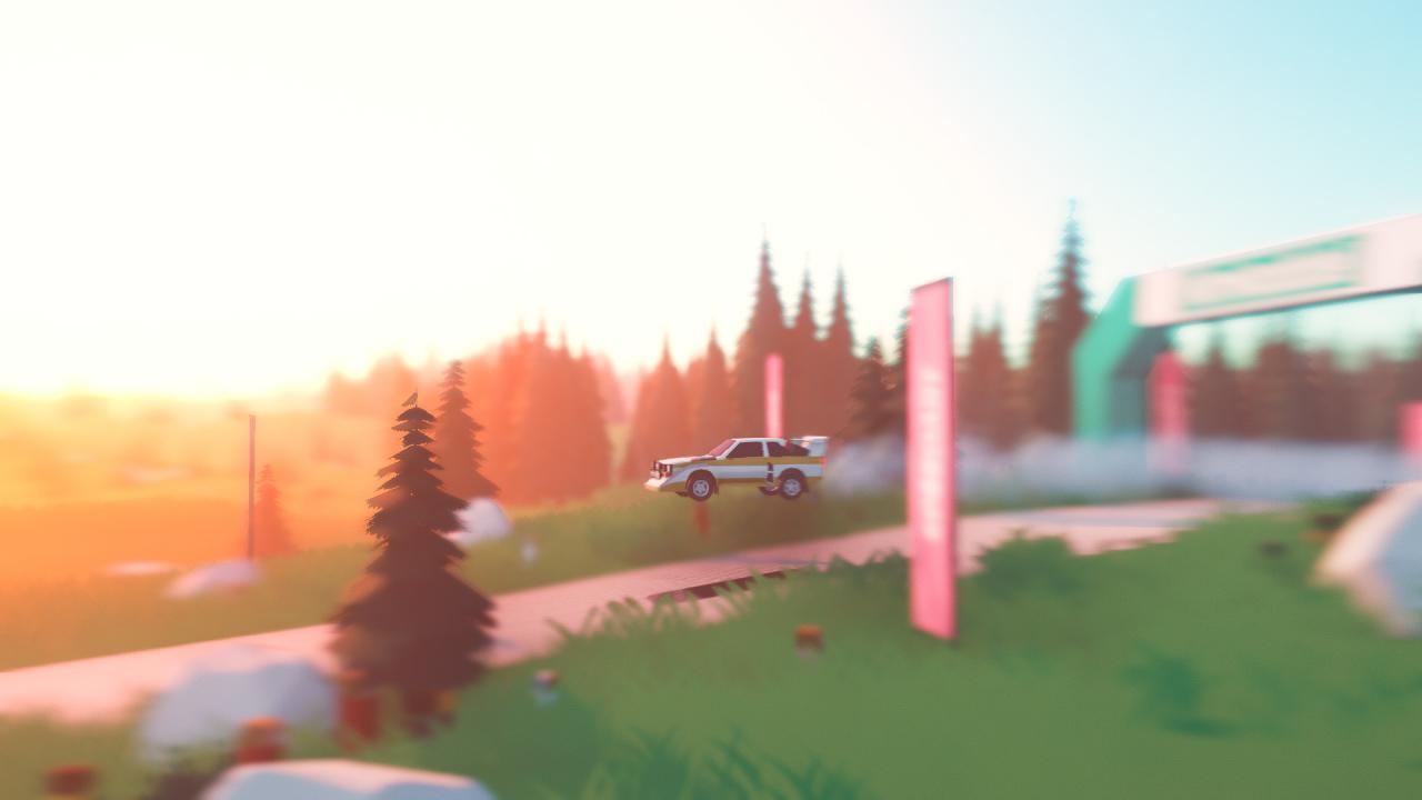 Art of Rally LATAM Steam CD Key screenshot 8
