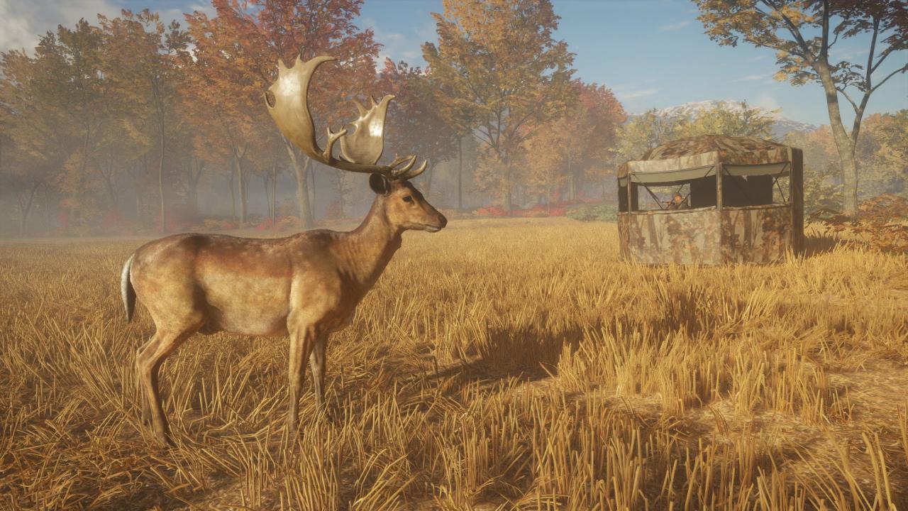 theHunter: Call of the Wild - Tents & Ground Blinds DLC PC Steam CD Key screenshot 2