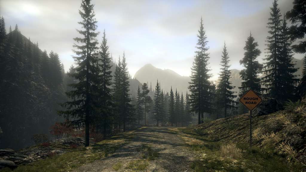 Alan Wake GOG CD Key screenshot 3