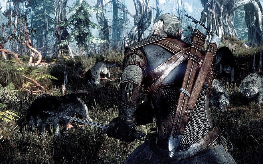 The Witcher 3: Wild Hunt EU PC Steam Altergift screenshot 1