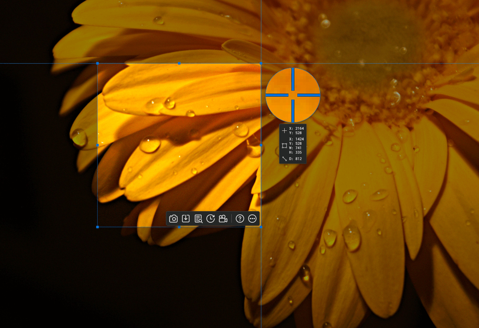 Ashampoo Snap 17 Key screenshot 2