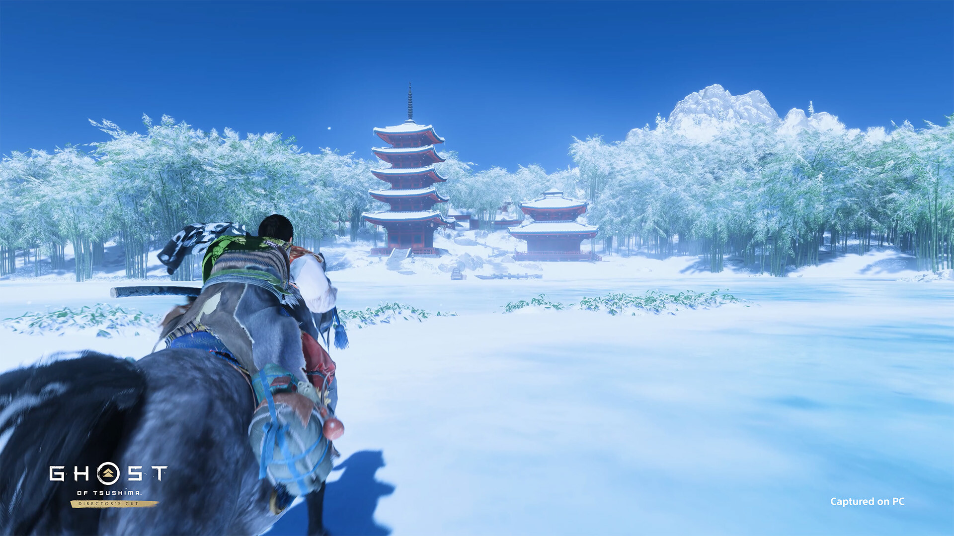Ghost of Tsushima Director's Cut RoW PC Steam CD Key screenshot 3