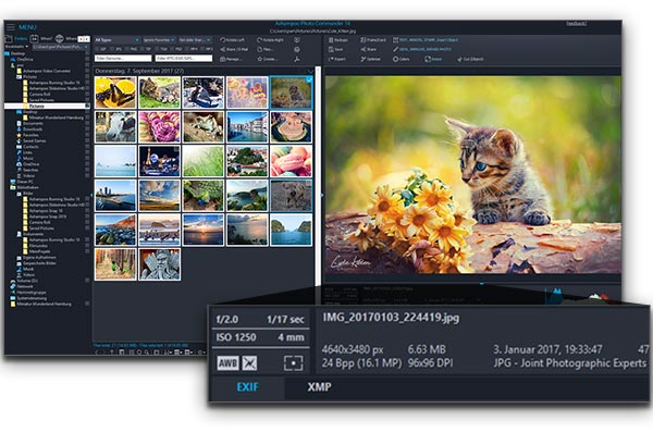 Ashampoo Photo Commander 16 Key (3 PCs) screenshot 1