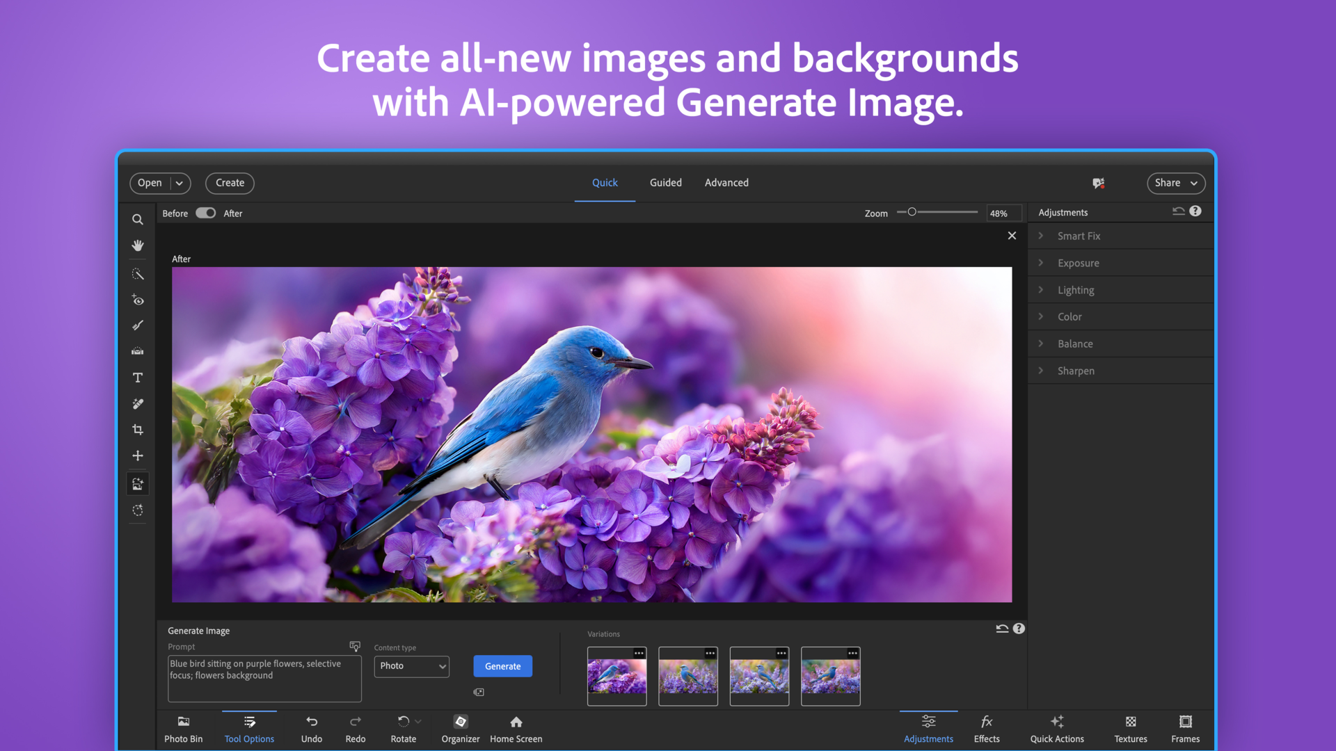 Adobe Photoshop Elements & Premiere Elements 2026 US (3 Years / 1 Device) screenshot 5