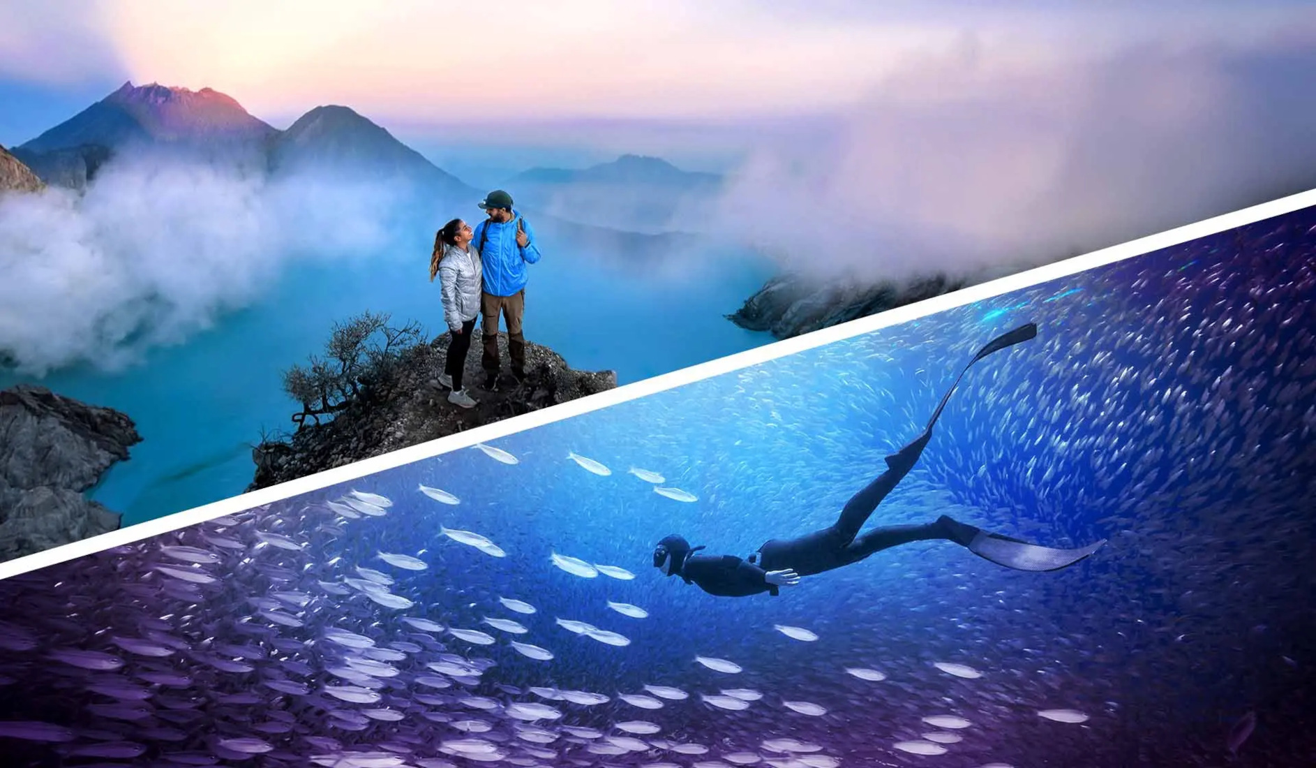 Adobe Photoshop Elements & Premiere Elements 2026 US (3 Years / 1 Device) screenshot 1