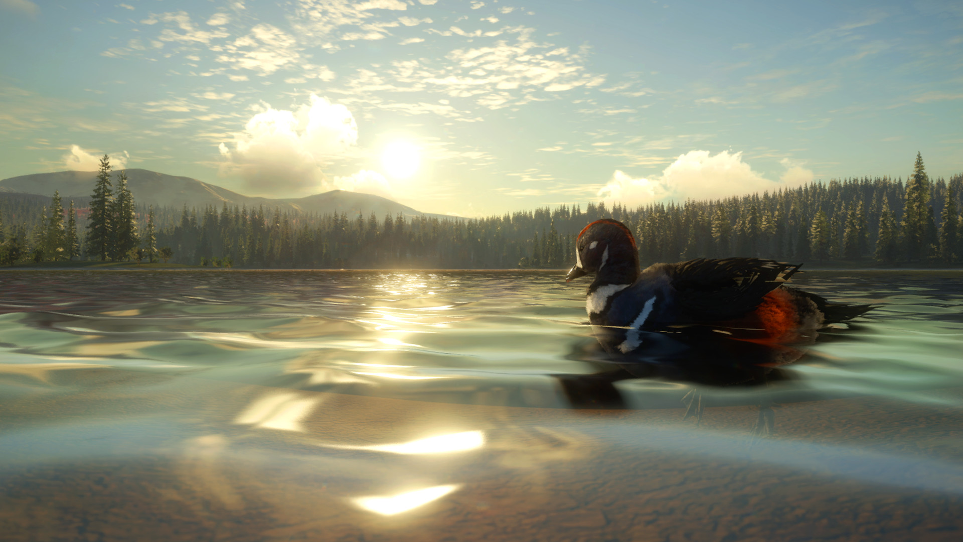 theHunter: Call of the Wild - Yukon Valley DLC PC Steam CD Key screenshot 4