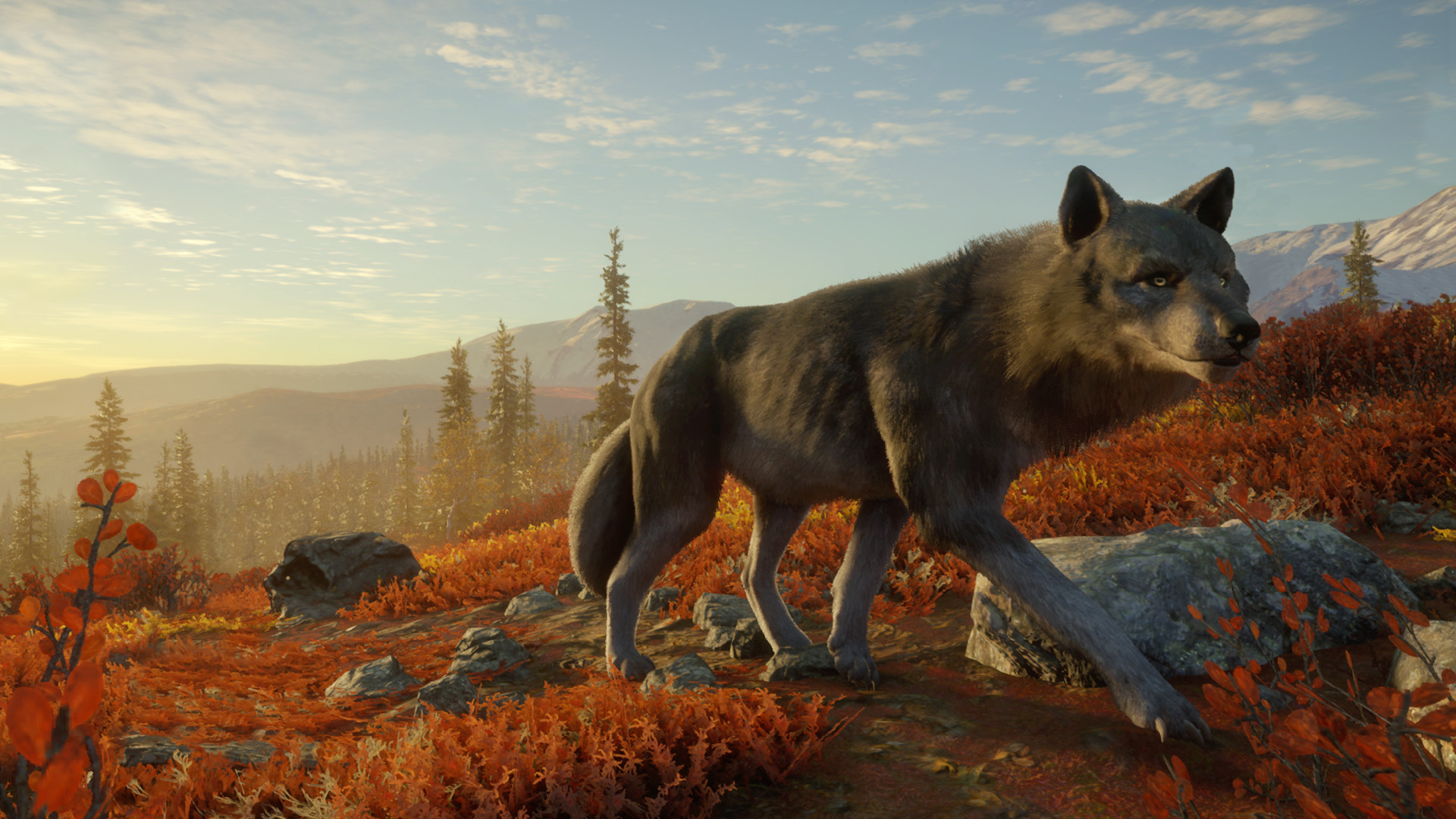 theHunter: Call of the Wild - Yukon Valley DLC PC Steam CD Key screenshot 6