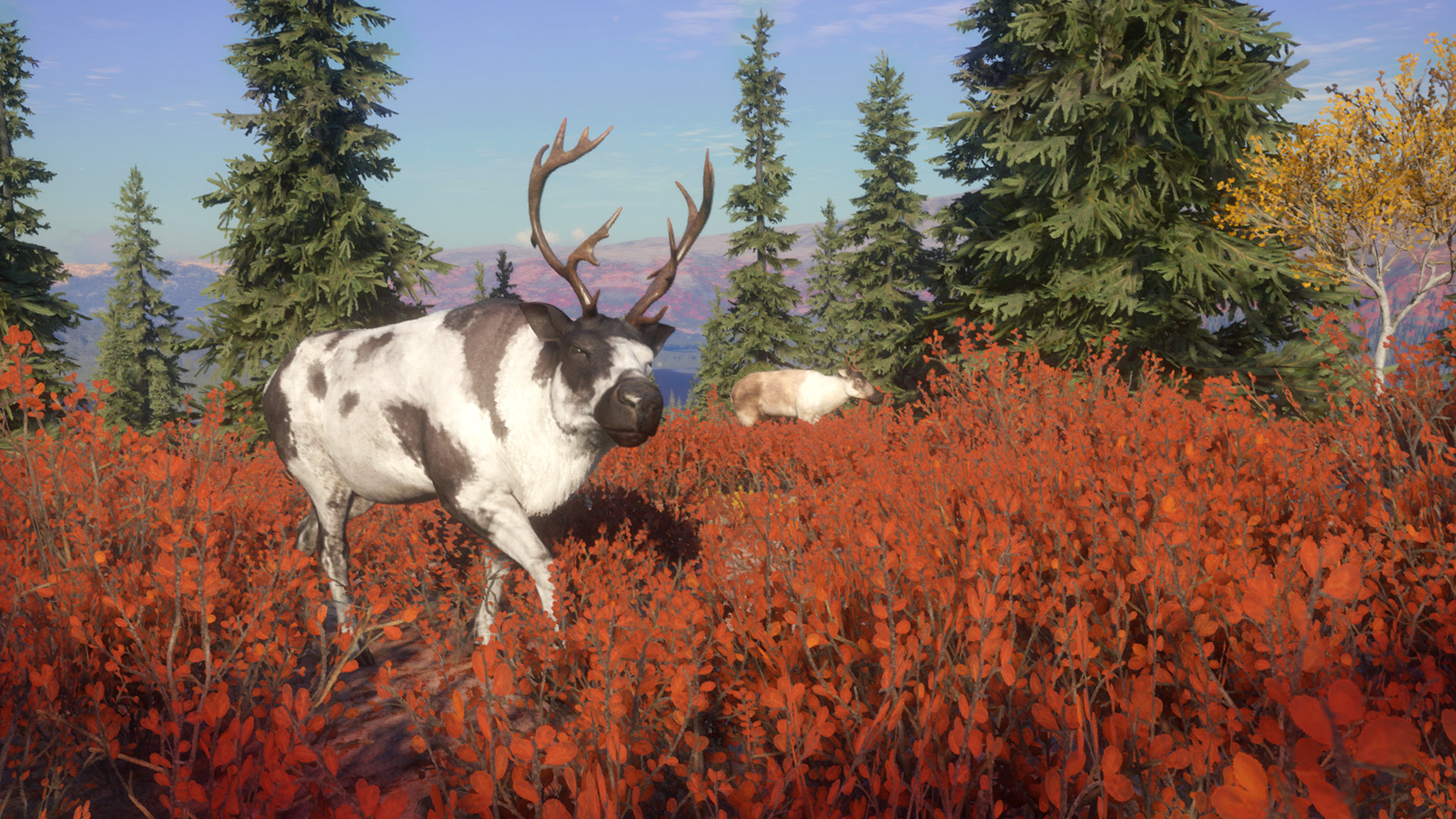 theHunter: Call of the Wild - Yukon Valley DLC PC Steam CD Key screenshot 1