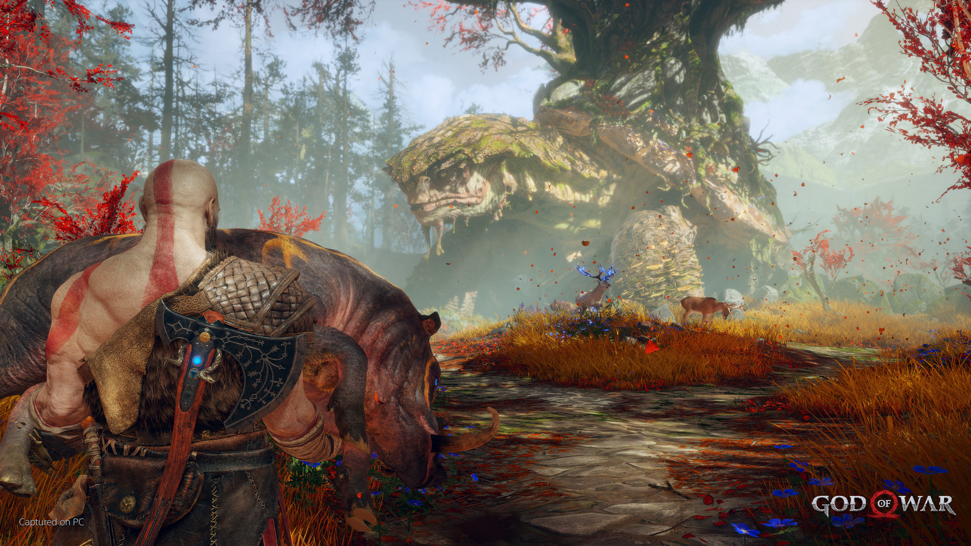 God of War RU Steam CD Key screenshot 8