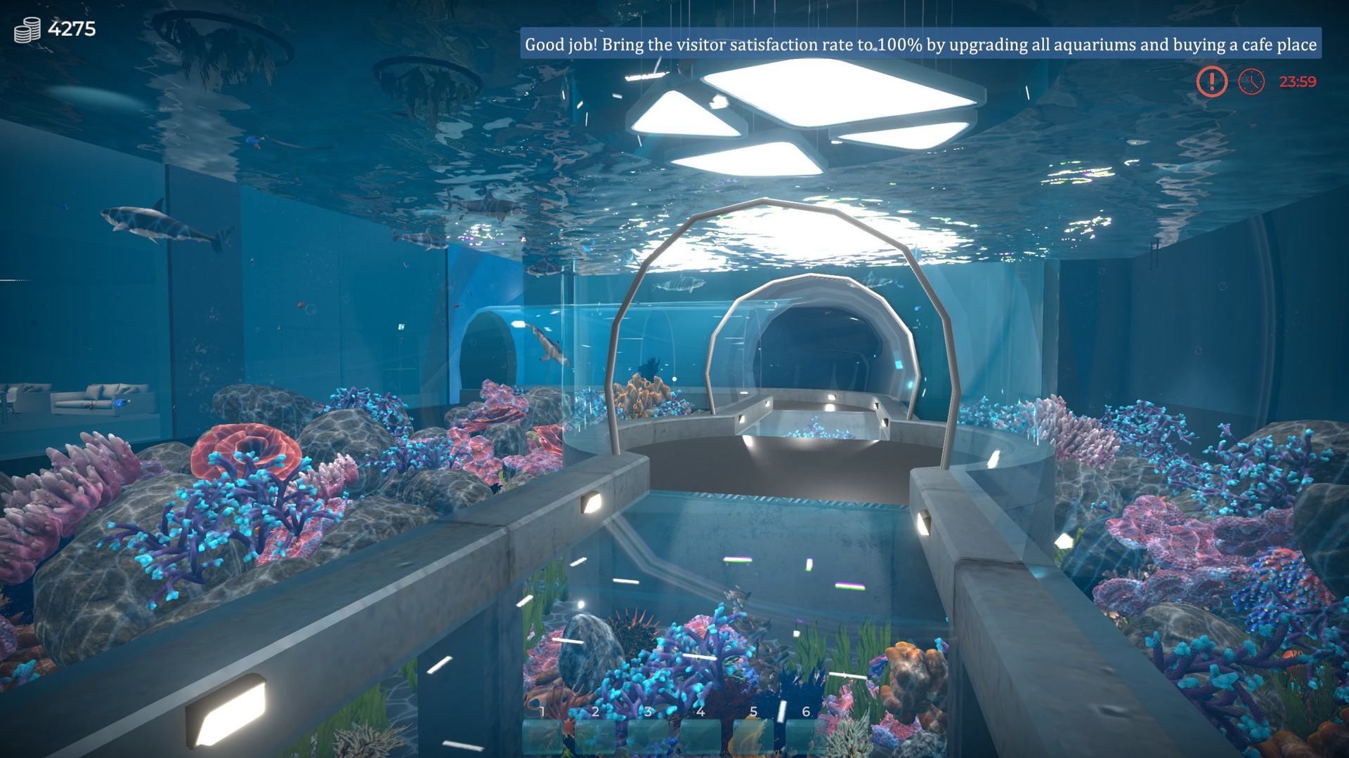 Aquarist NA PS5 CD Key screenshot 2