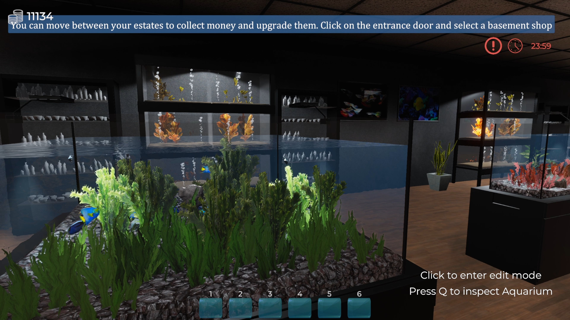 Aquarist NA PS5 CD Key screenshot 10