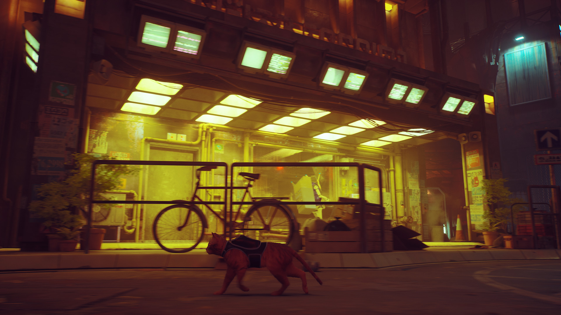 Stray PC Steam CD Key screenshot 3