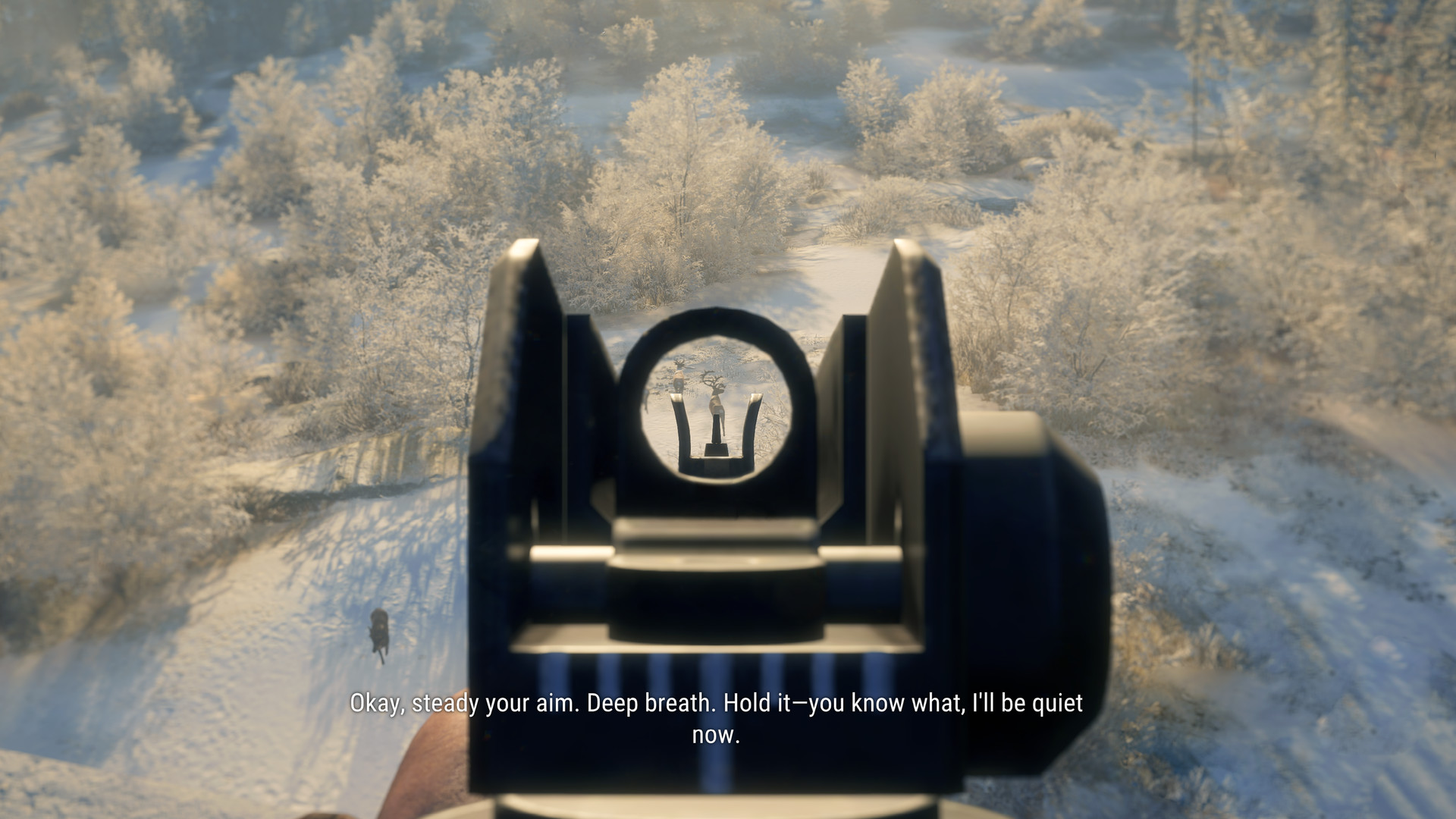 theHunter: Call of the Wild - Modern Rifle Pack DLC PC Steam CD Key screenshot 3
