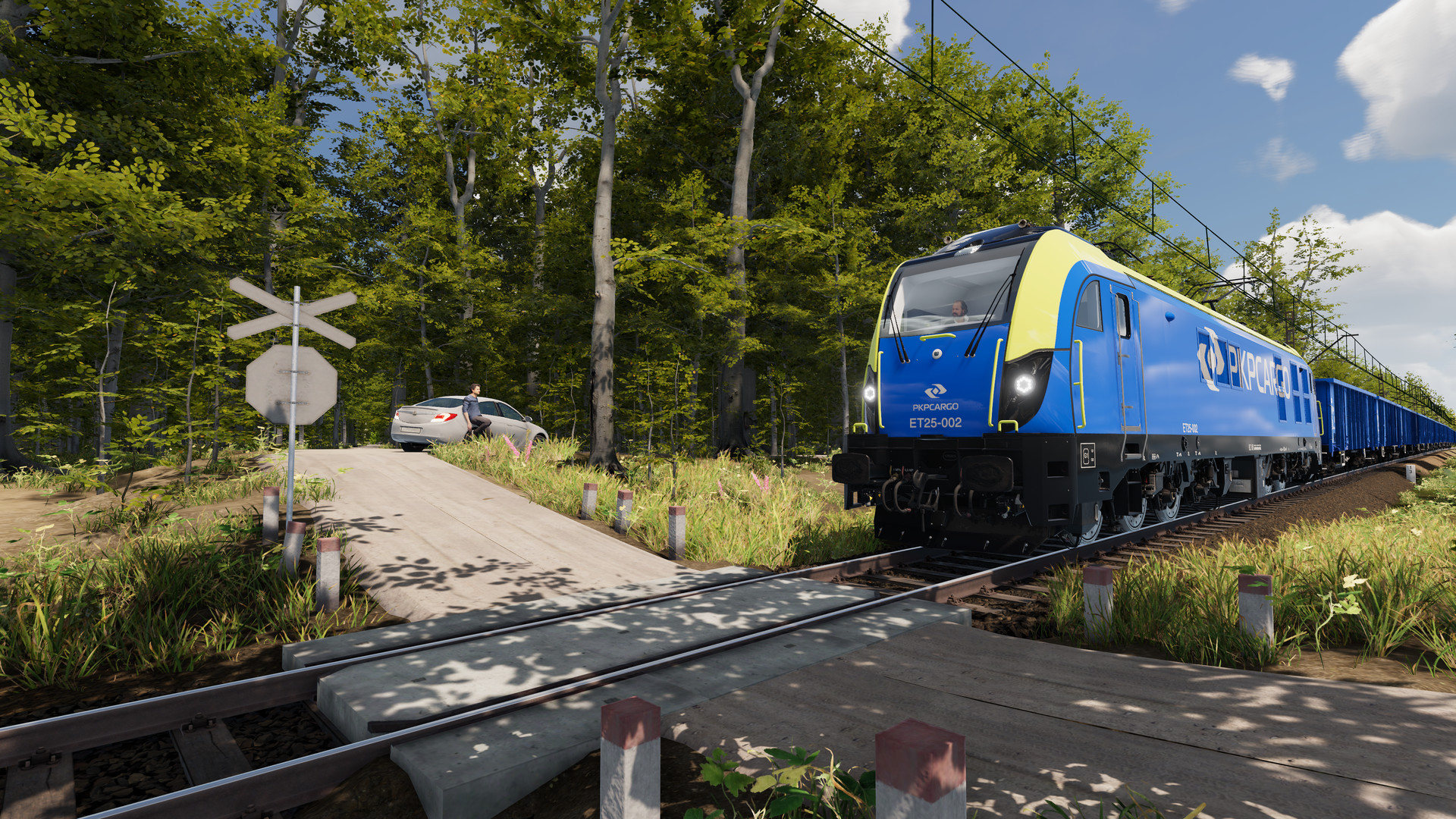 SimRail - The Railway Simulator PC Steam CD Key screenshot 6