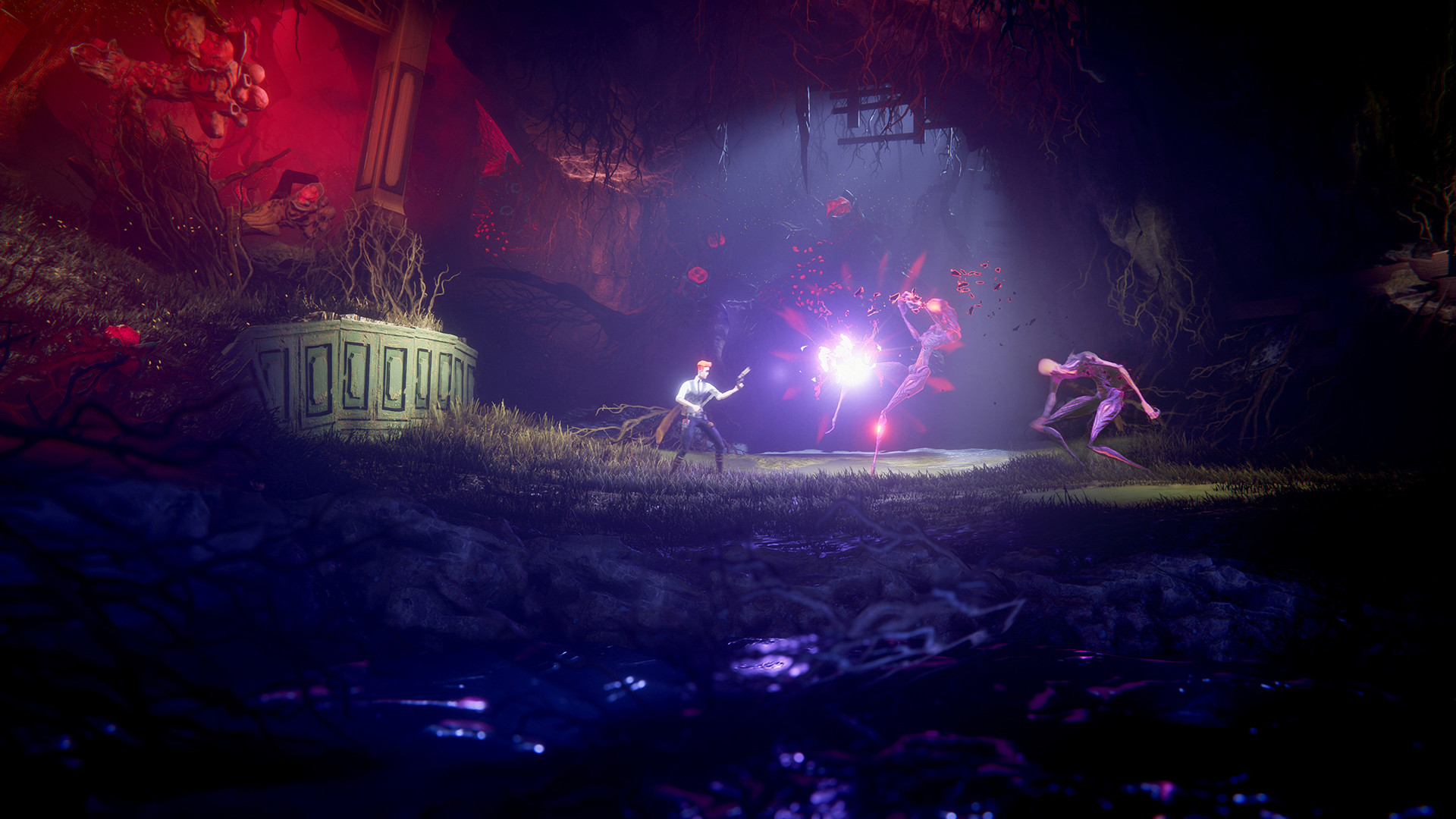 The Last Case of Benedict Fox US PS5 CD Key screenshot 6