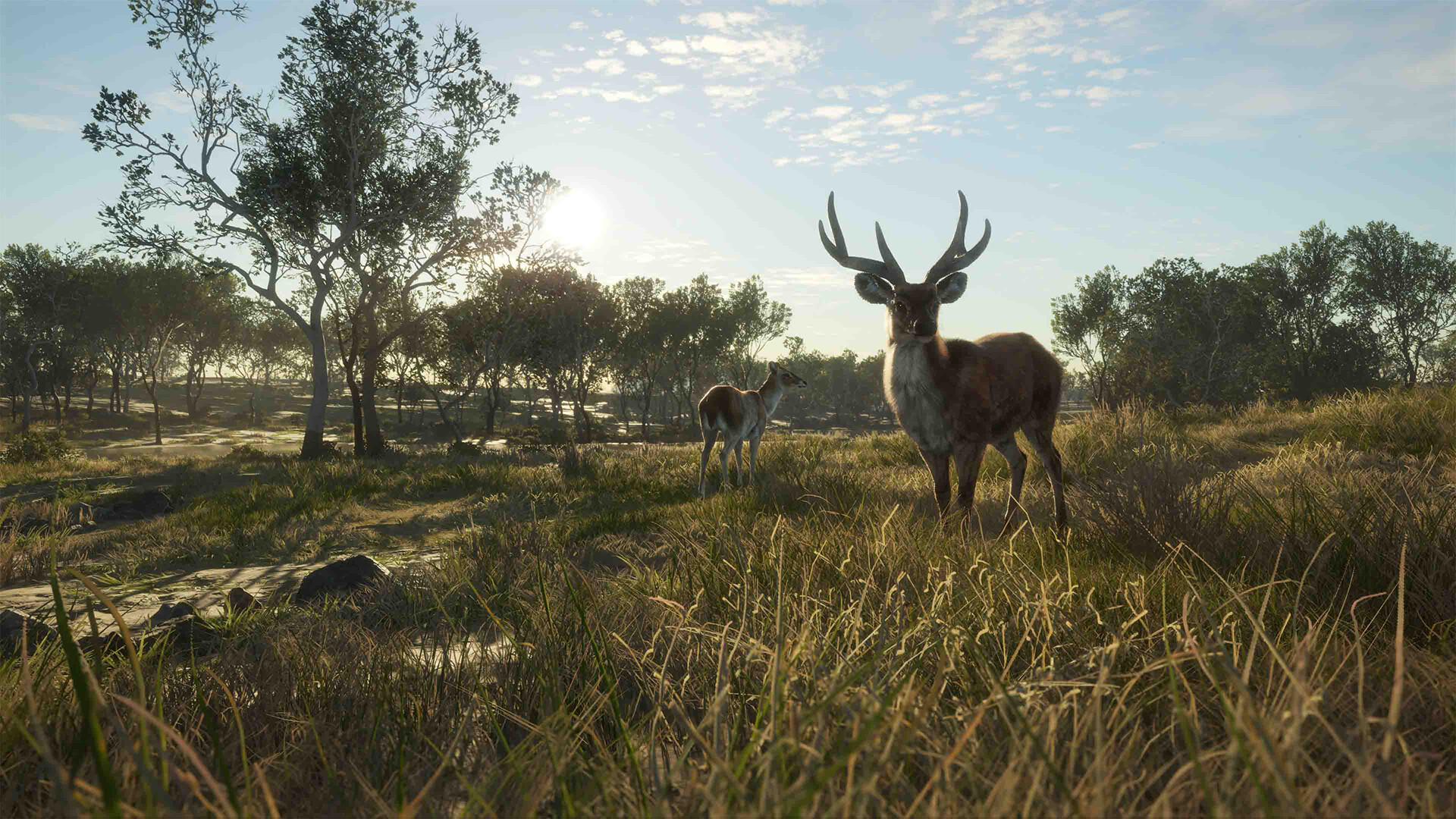 theHunter: Call of the Wild - Emerald Coast Australia DLC PC Steam CD Key screenshot 7