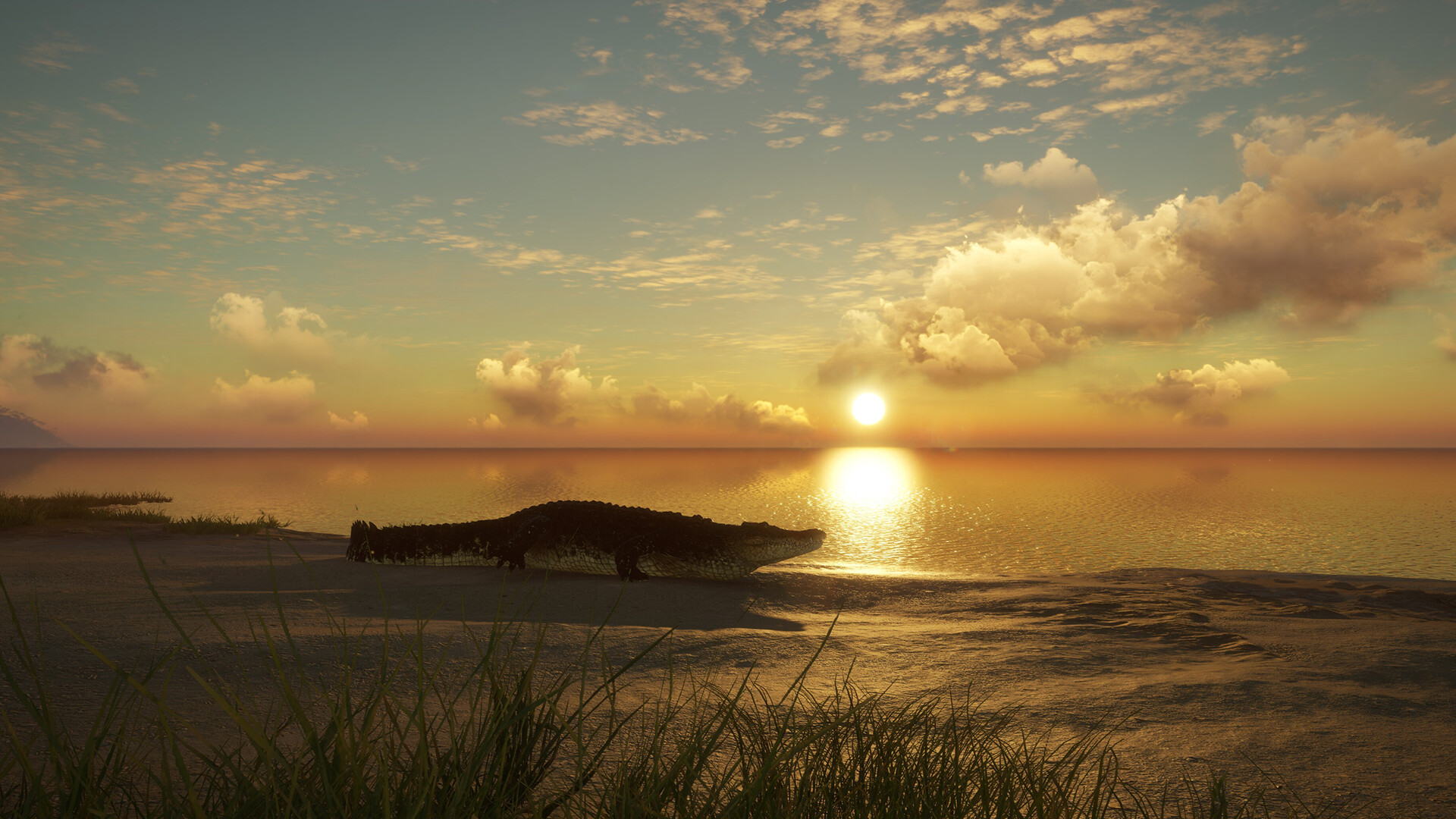 theHunter: Call of the Wild - Emerald Coast Australia DLC PC Steam CD Key screenshot 3