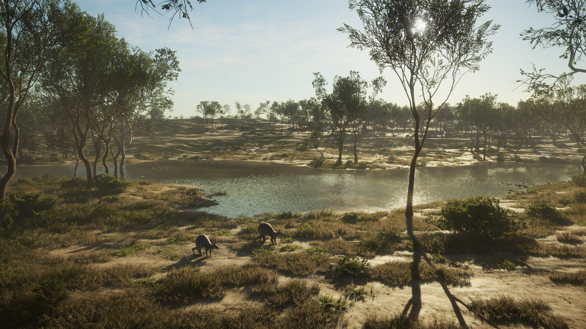 theHunter: Call of the Wild - Emerald Coast Australia DLC PC Steam CD Key screenshot 1