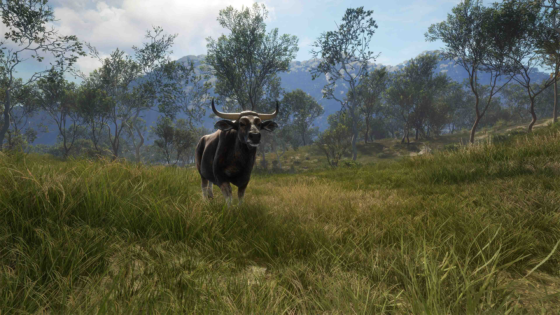 theHunter: Call of the Wild - Emerald Coast Australia DLC PC Steam CD Key screenshot 2