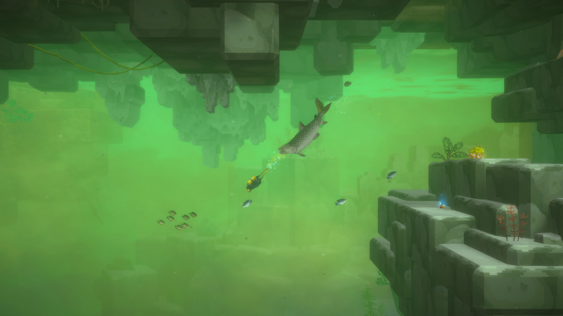 DAVE THE DIVER - In the Jungle Content Pack DLC PC Steam CD Key screenshot 6