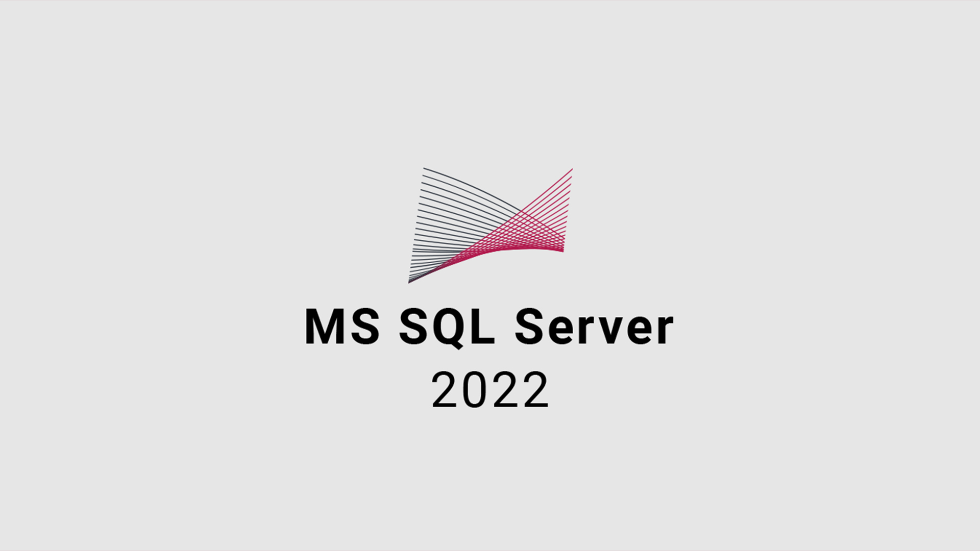 MS SQL Server 2022 CD Key screenshot 1