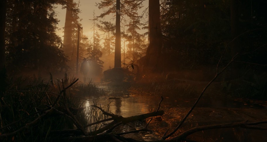 Alan Wake 2 Epic Games Green Gift Redemption Code screenshot 4