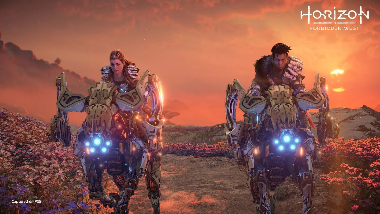 Horizon Forbidden West EU PS4/PS5 CD Key screenshot 3