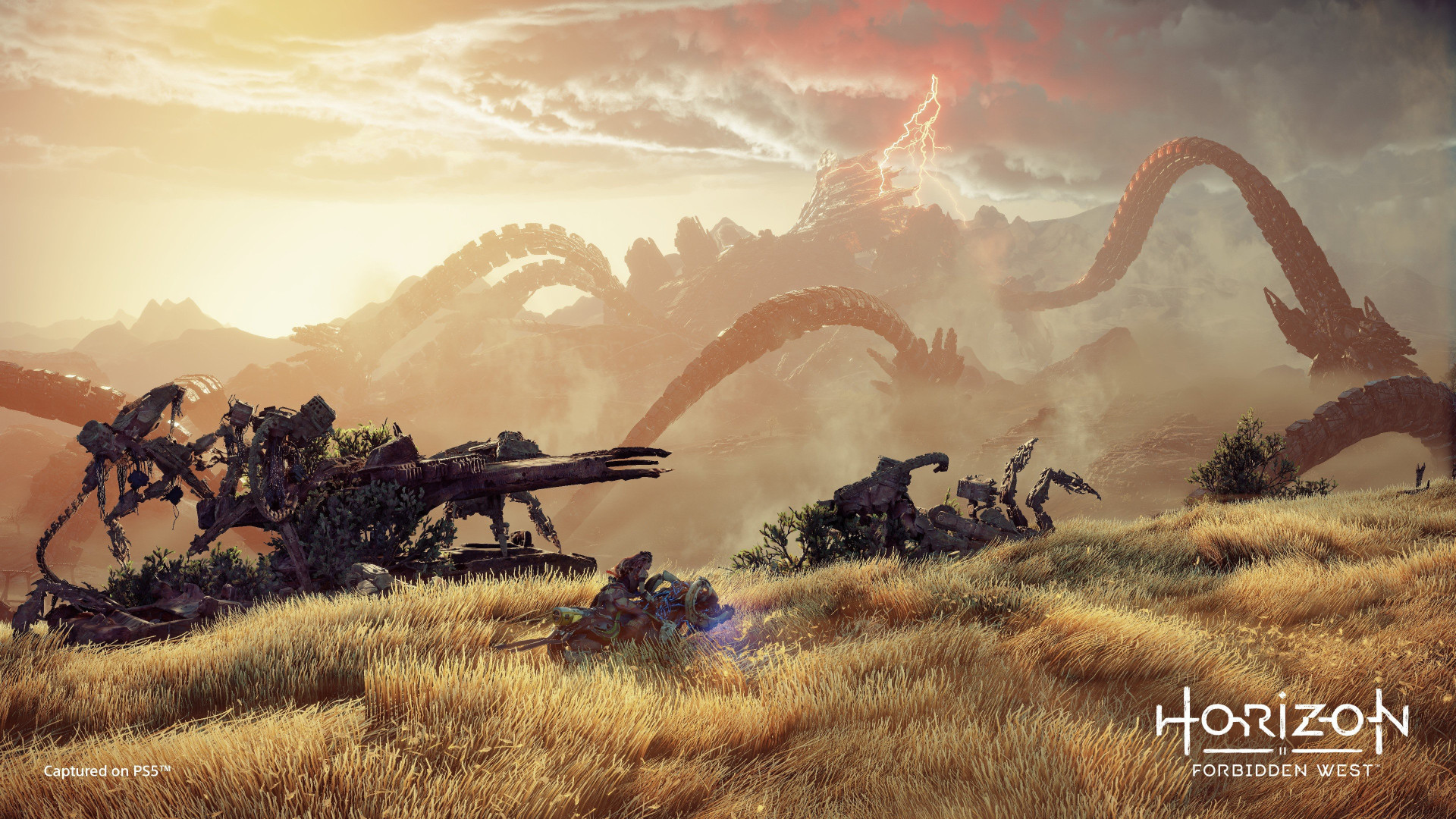 Horizon Forbidden West EU PS4/PS5 CD Key screenshot 4