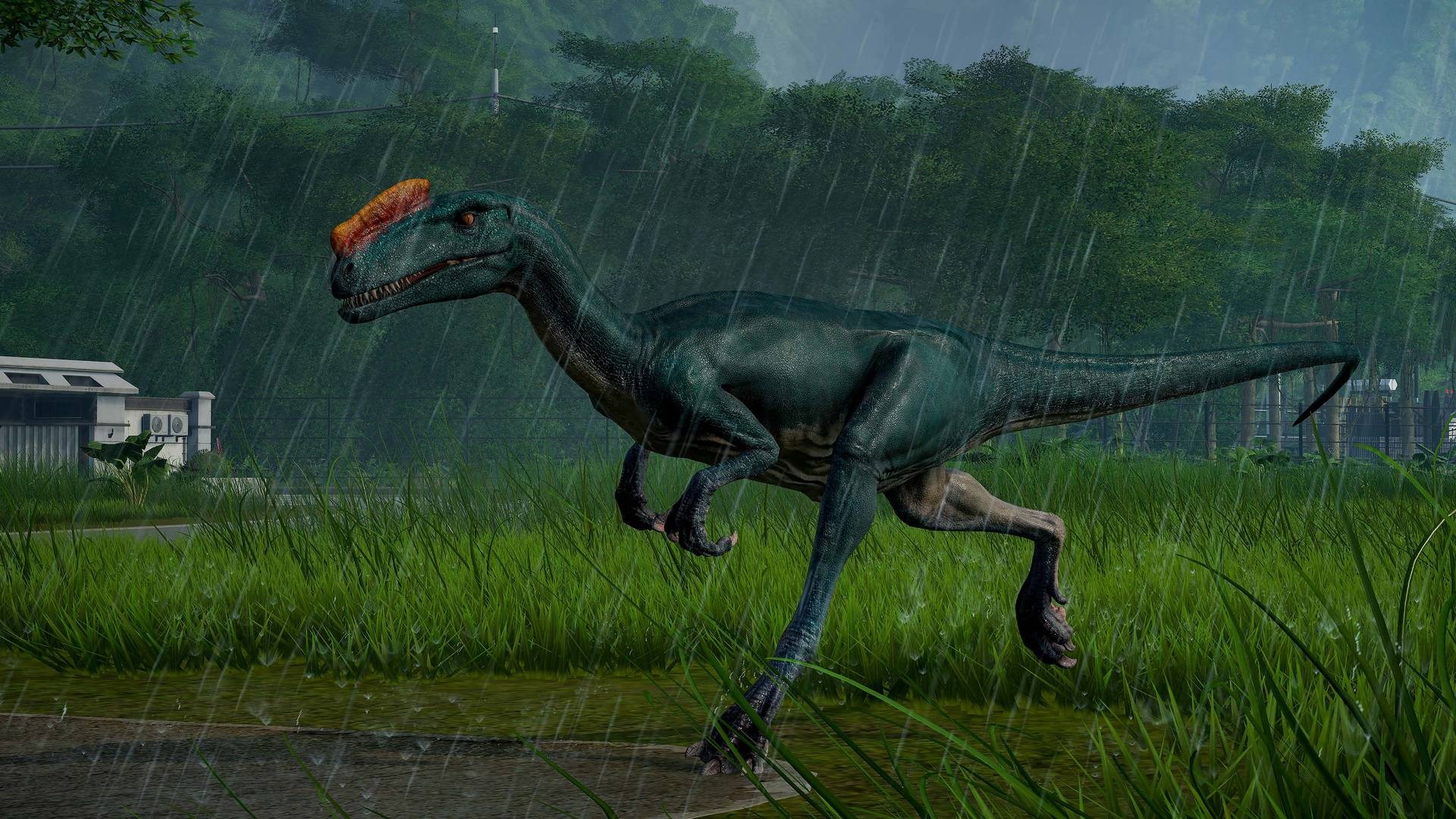 Jurassic World Evolution - Dinosaur Collection DLC EU XBOX One / Xbox Series X|S CD Key screenshot 8